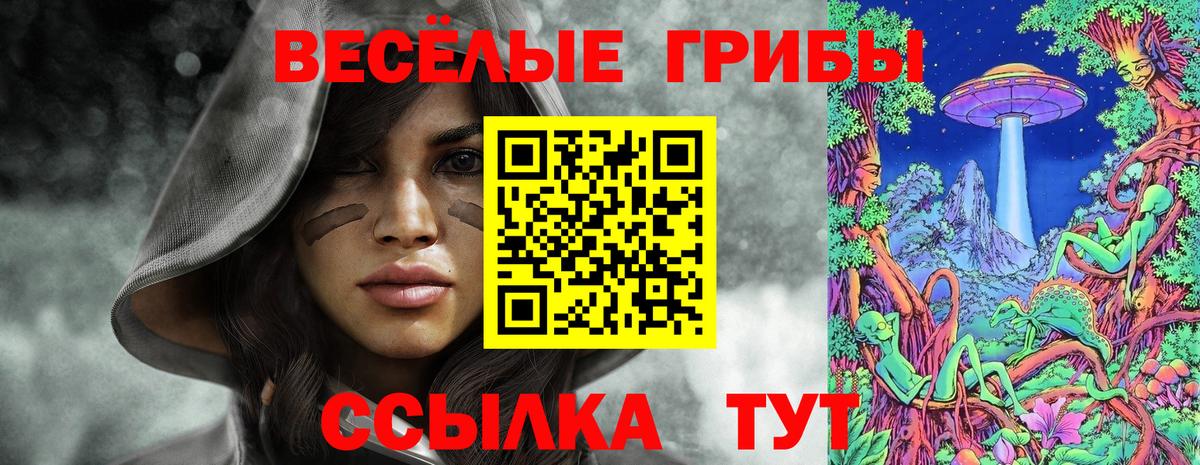 Псилоцибиновые грибы мицелий  Вход с VPN  Кингисепп 